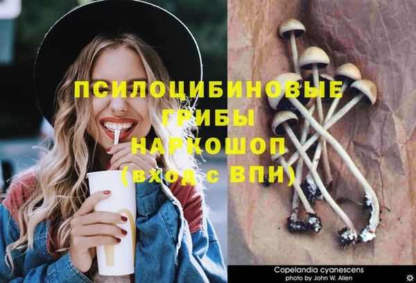 прущая мука Щигры