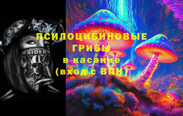 прущая мука Щигры