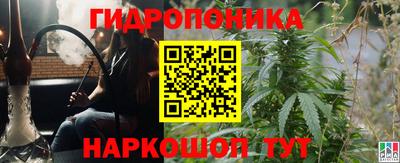 прущие грибы Балашиха