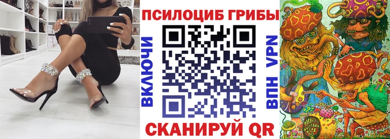 Псилоцибиновые грибы Psilocybe  kraken зеркало  Благодарный  как найти наркотики 