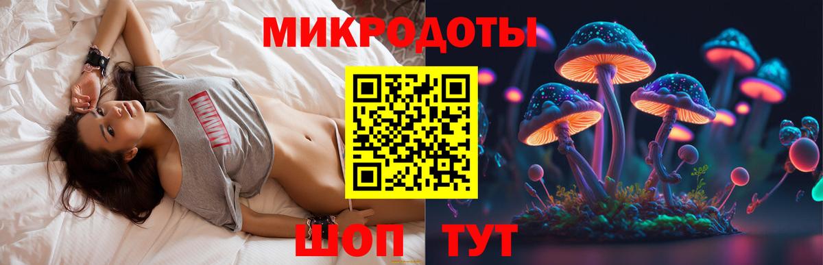 Галлюциногенные грибы Psilocybine cubensis  Вход с VPN  Благодарный 